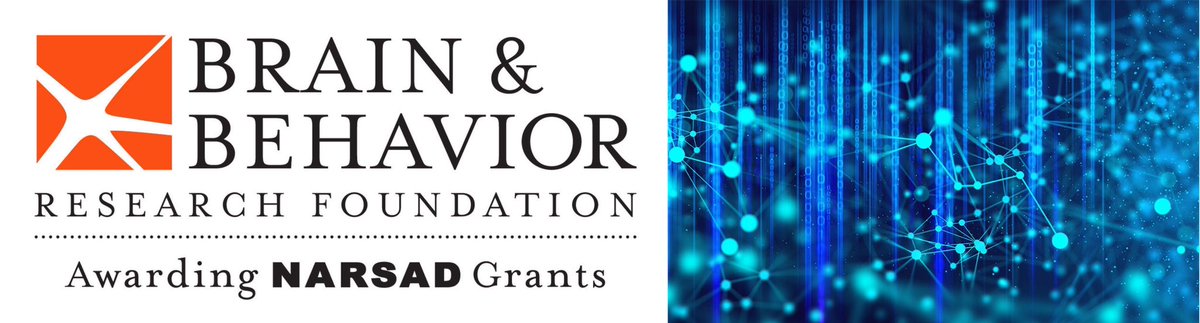 Yang Eric Li (@yangericli) on Twitter photo Thrilled to receive the 2024 NARSAD Young Investigator Grant! Our lab is grateful for the support from <a href="/BBRFoundation/">BBRFoundation</a> and my amazing colleagues <a href="/WashUGenetics/">WashU Medicine Genetics</a> and <a href="/WashUNeurosurg/">WashU Med Taylor Family Department of Neurosurgery</a>. Big shout out
to <a href="/jomoronc/">Jose Moron-Concepcion.</a> for his kind advice and collaboration. Thrilled to receive the 2024 NARSAD Young Investigator Grant! Our lab is grateful for the support from <a href="/BBRFoundation/">BBRFoundation</a> and my amazing colleagues <a href="/WashUGenetics/">WashU Medicine Genetics</a> and <a href="/WashUNeurosurg/">WashU Med Taylor Family Department of Neurosurgery</a>. Big shout out
to <a href="/jomoronc/">Jose Moron-Concepcion.</a> for his kind advice and collaboration.
