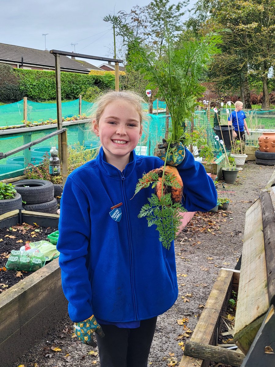 SychdynFarmClub's tweet photo. Someone was really happy with her carrot harvest yesterday 🥕@SychdynSchool https://t.co/idZgQcRpZV