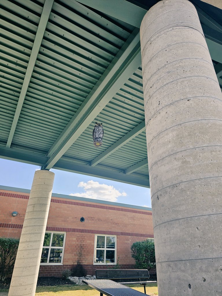 Alicia Jackson (@ajackscounselor) on Twitter photo Our dear <a href="/CTMSBulldog/">California Trail MS</a> community being protected by an <a href="/OlatheWestOwls/">Olathe West High</a> is both collaborative and potentially pot stirring for <a href="/OlatheEastHawks/">Olathe East High School</a> ๐. Sending love to all the <a href="/olatheschools/">Olathe Public Schools</a> Trails and birds of prey today ๐๐ค Our dear <a href="/CTMSBulldog/">California Trail MS</a> community being protected by an <a href="/OlatheWestOwls/">Olathe West High</a> is both collaborative and potentially pot stirring for <a href="/OlatheEastHawks/">Olathe East High School</a> ๐. Sending love to all the <a href="/olatheschools/">Olathe Public Schools</a> Trails and birds of prey today ๐๐ค