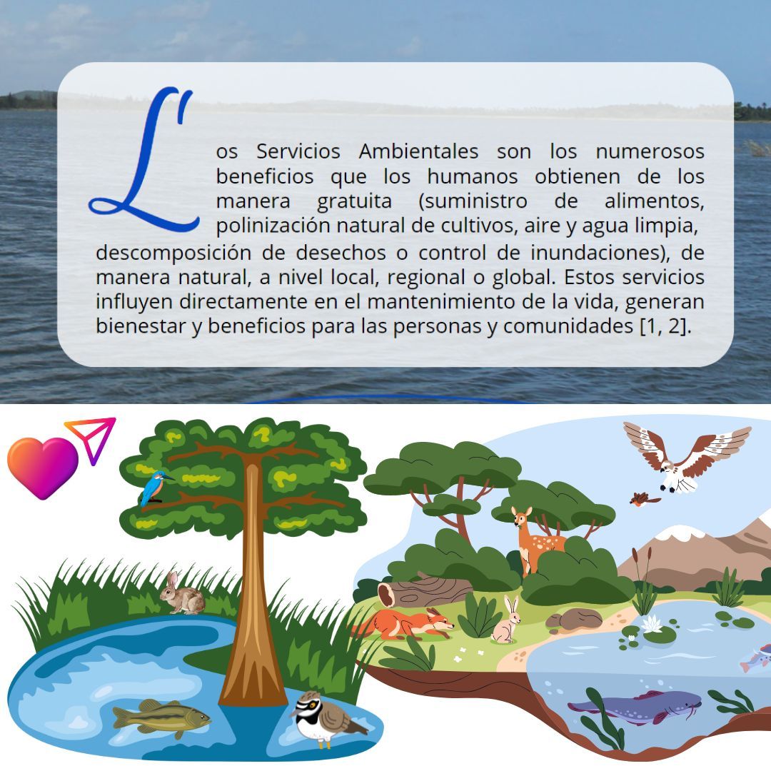 Revista_CyN's tweet photo. 🌊✨ El Lago de Tuxpan no solo es un hermoso destino turístico, ¡es un tesoro de servicios ambientales! 🌱💧
Revista 🚀 Ciencia y Naturaleza 🍀
#RevistaCyN #Divulgación #Difusión #Leer+
👉 https://t.co/al9WF6Qz9T https://t.co/1dy5qQgYo7