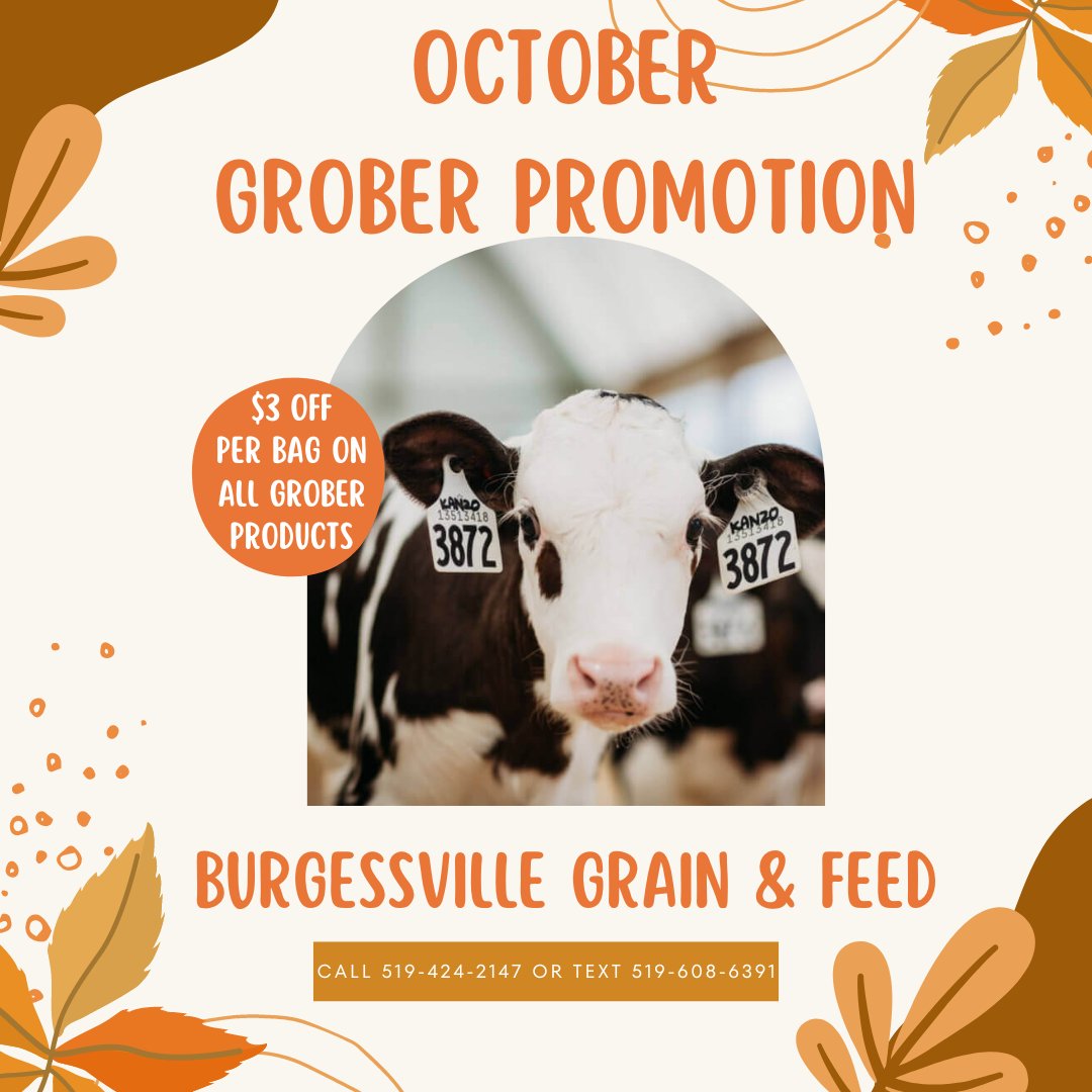 Hello October 👋Hello Grober Promotion 👋
$3 off per bag on all Grober products for the month of October
Call 519-424-2147 or text 519-608-6391 to order
 #bgf #grober #milkreplacer