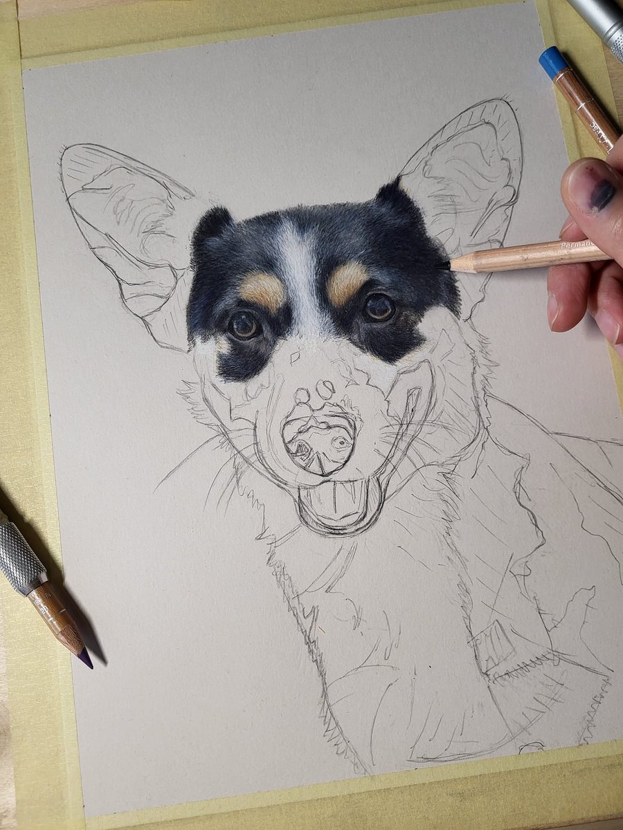 Blue Birdie Drawings tweet media