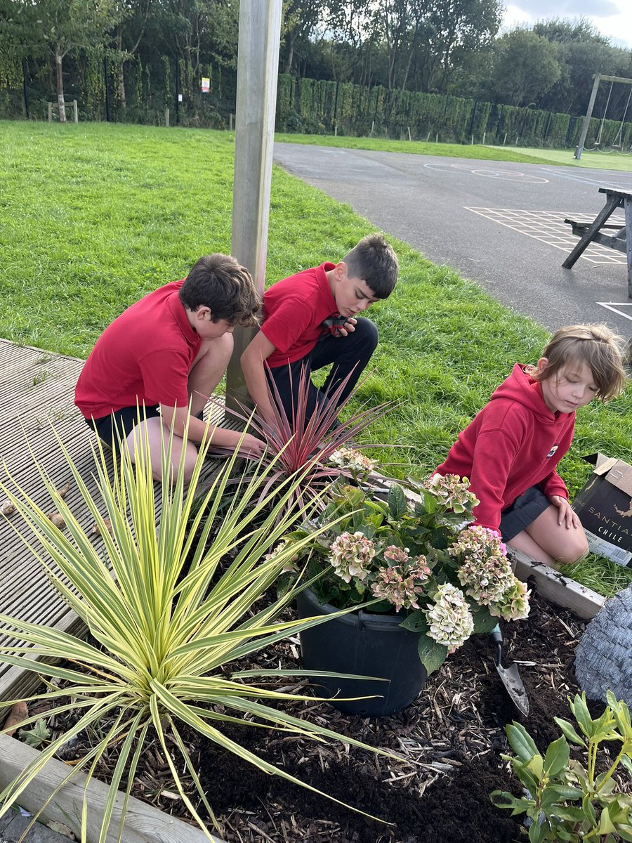 ParcyTywyn's tweet photo. Clwb garddio yn mwynhau planning mwy o ddaffodils.
#pod3 #iechydalles #blw5 #blw6 #ardalallanol #clwbgarddio https://t.co/hIxYSpE9rS