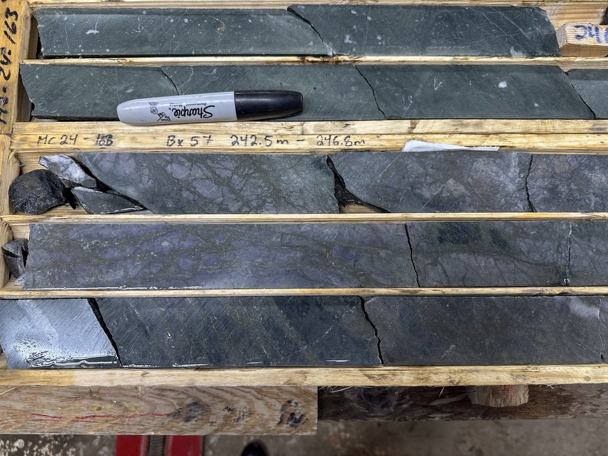 Check out this core from our Sept results at the Argus Zone! Exciting intercepts include 1.87 g/t over 48.1m, with standout sections like 7.14 g/t over 4.5m and 4.05 g/t over 10m. With a new high-grade zone &amp; 104 km² in Timmins, we’re just getting started! Learn more: