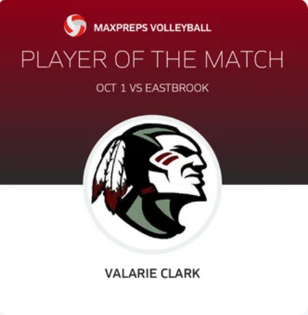 WDWarriorsVolleyball tweet media