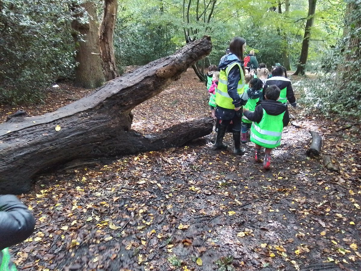 Reception have had a fabulous time at The Hive today! We went on a bear hunt, made bear caves, met some amazing animals and even saw a crocodile! Can you spot the crocodile? #eyfs #bearhunt #outdoorplay