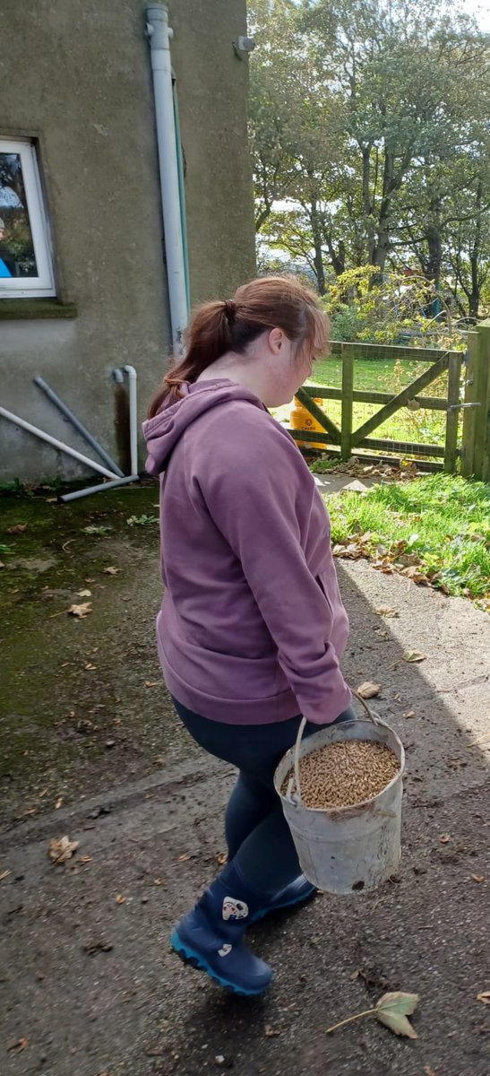 DonegalHorizons's tweet photo. Eoin and Leanne are working very hard on their PCP goals of working on a farm 🚜 keep up the great work guys 👏 https://t.co/Zbq6XQopg3