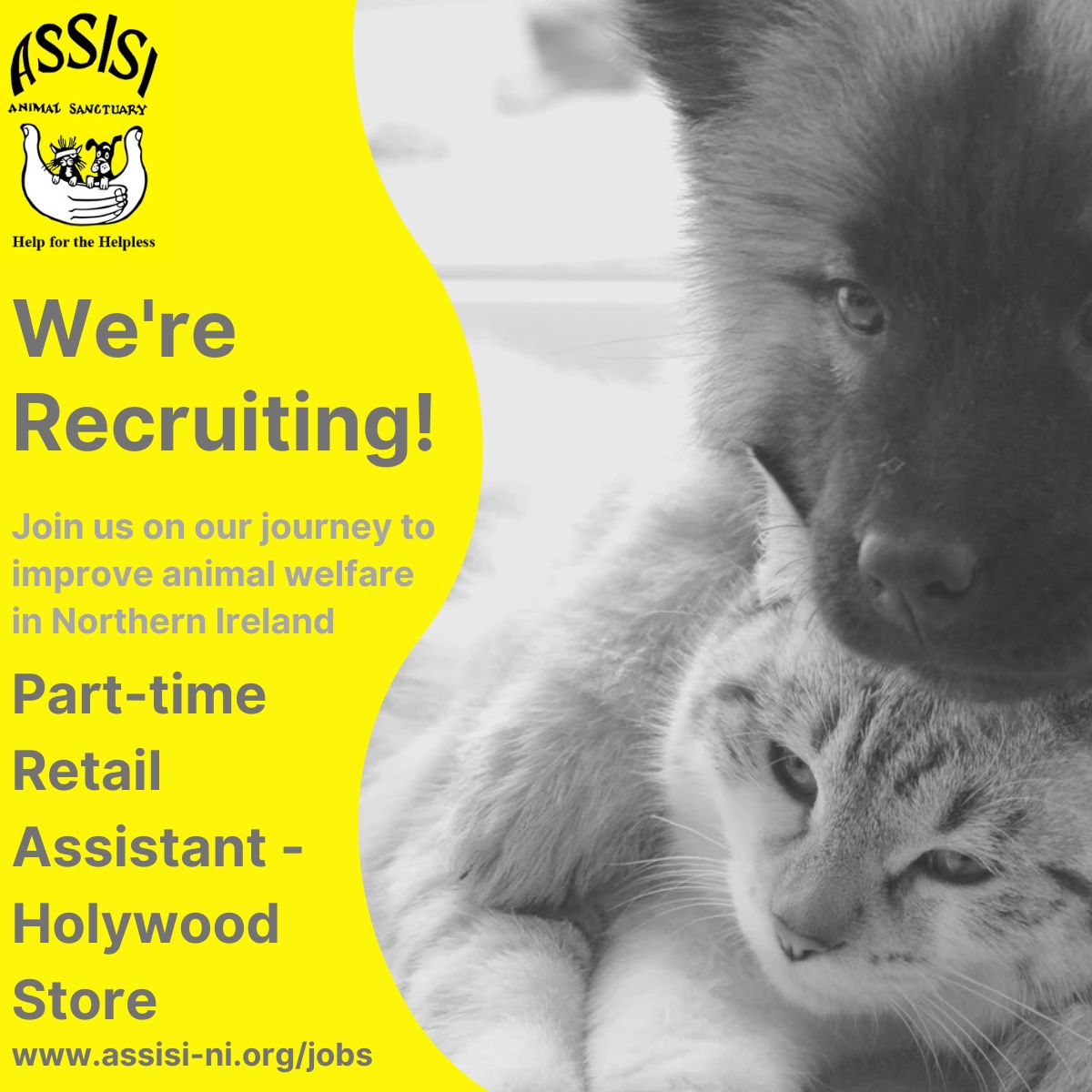 Assisi Animal Sanctuary (@assisisanctuary) on Twitter photo 