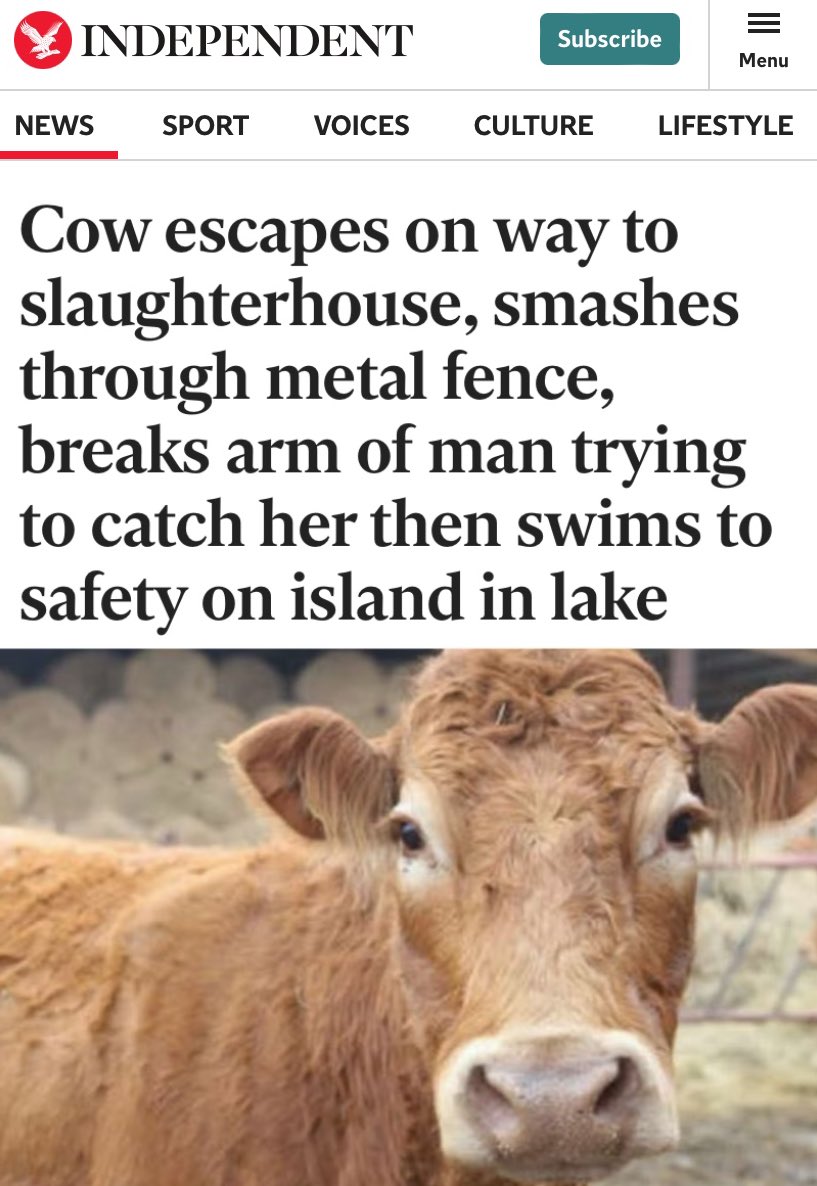 No Context Brits tweet media