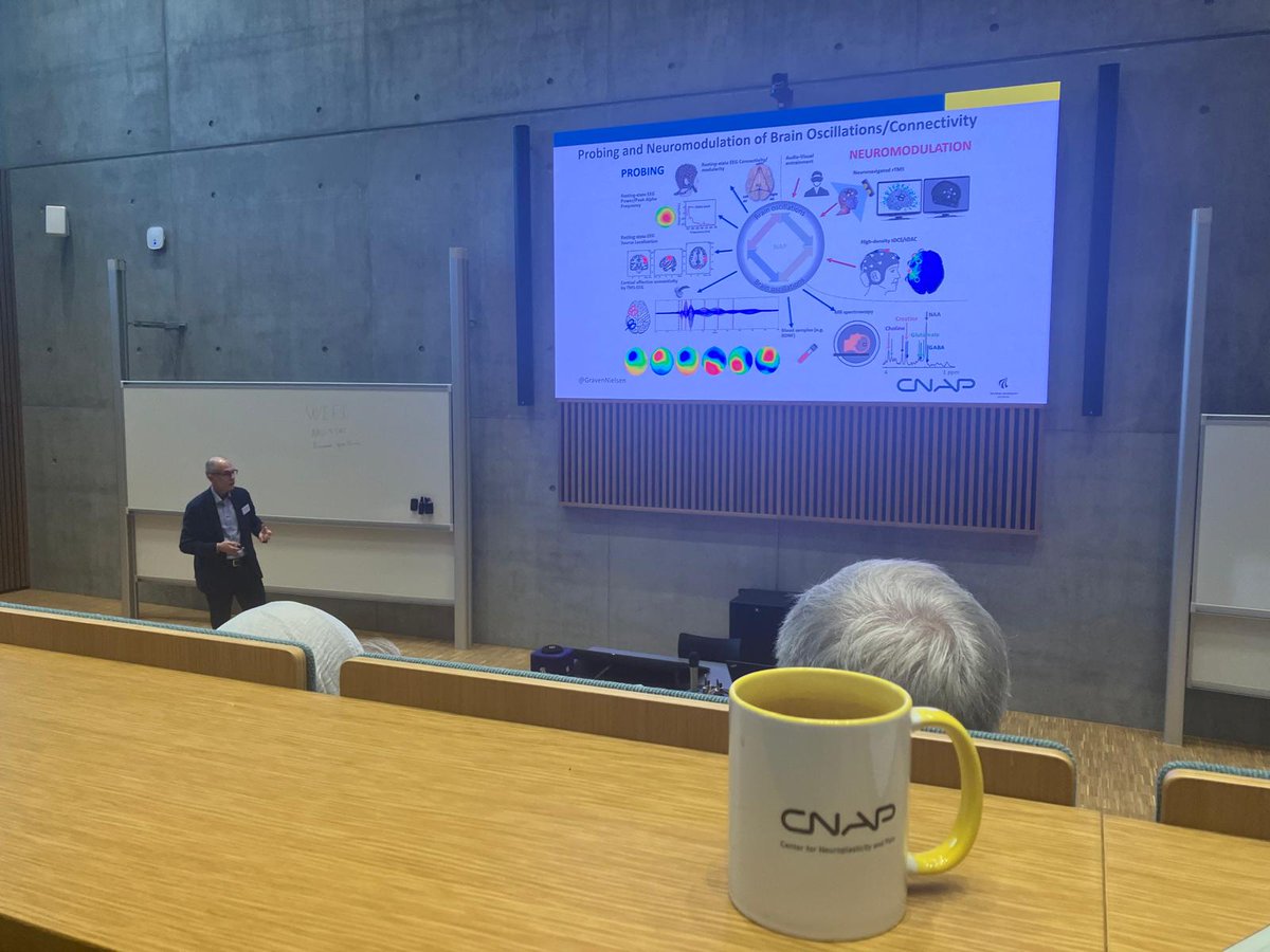 CNAP_AAU's tweet image. And last but not least, Center Director and Prof. @GravenNielsen , introducing everyone to the ‘Brain Neuro-Adaptability to Pain’ project that has begun here at @CNAP, Aalborg University. @lundbeckfonden