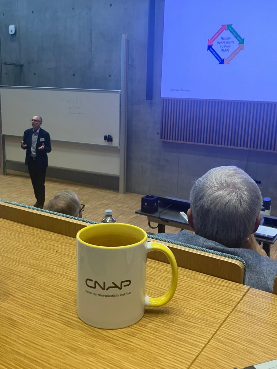 CNAP_AAU's tweet image. And last but not least, Center Director and Prof. @GravenNielsen , introducing everyone to the ‘Brain Neuro-Adaptability to Pain’ project that has begun here at @CNAP, Aalborg University. @lundbeckfonden
