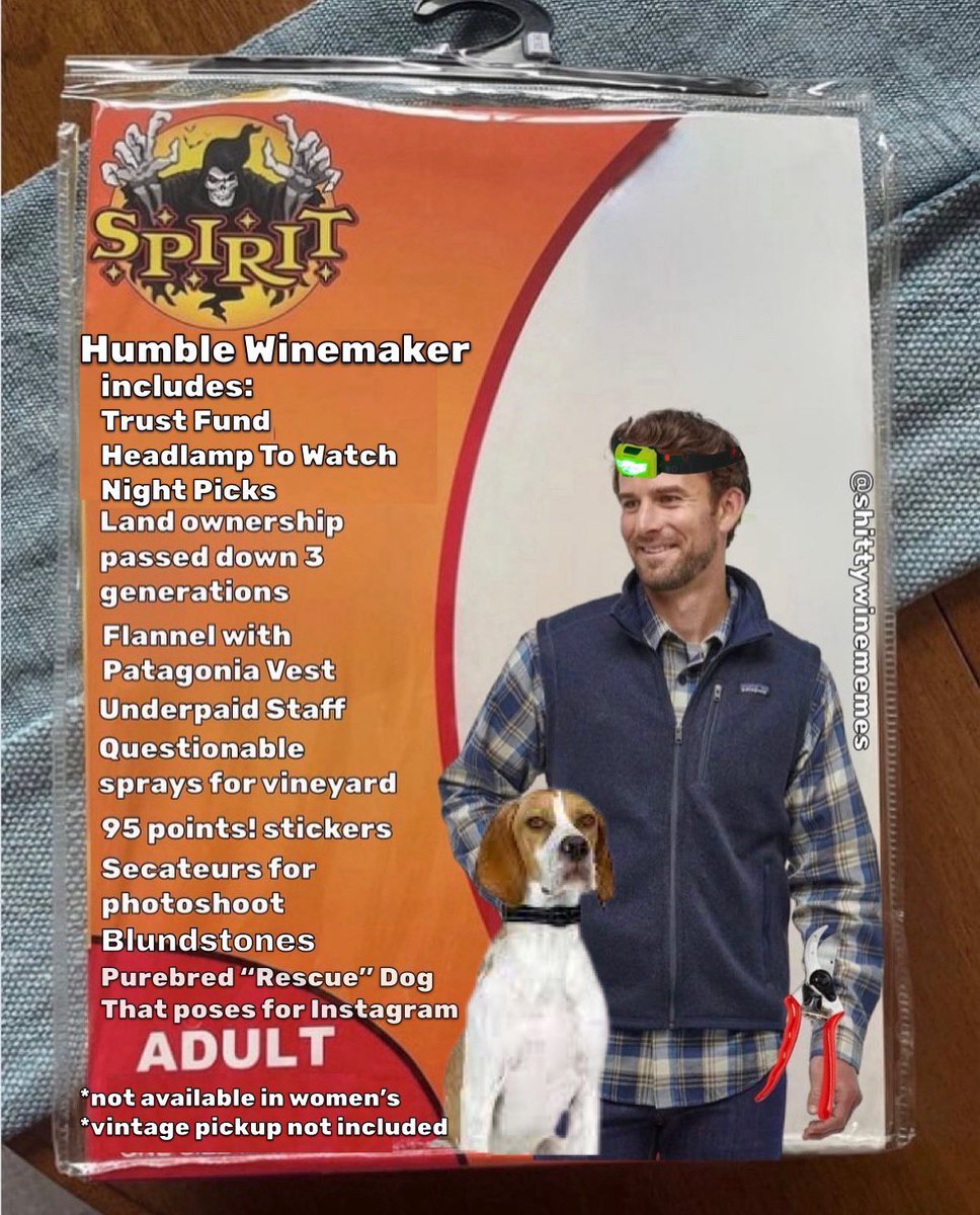 Shitty Wine Memes (@shittywinememes) on Twitter photo 