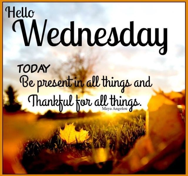 D8Connect's tweet photo. Good morning, D8 families, Happy Wednesday!! Wishing you a day full of smiles!! @jen_joynt @AnyaMunce @CamilleKinlock @FLCDIST8 @District8FSC @JoeM08422492 @DOEChancellor @ruxdanika @DanWeisbergNYC @CECD8Bronx @AmandaFariasNYC @Fernandez4NY @KristyforNY https://t.co/ZQFvtCisbq