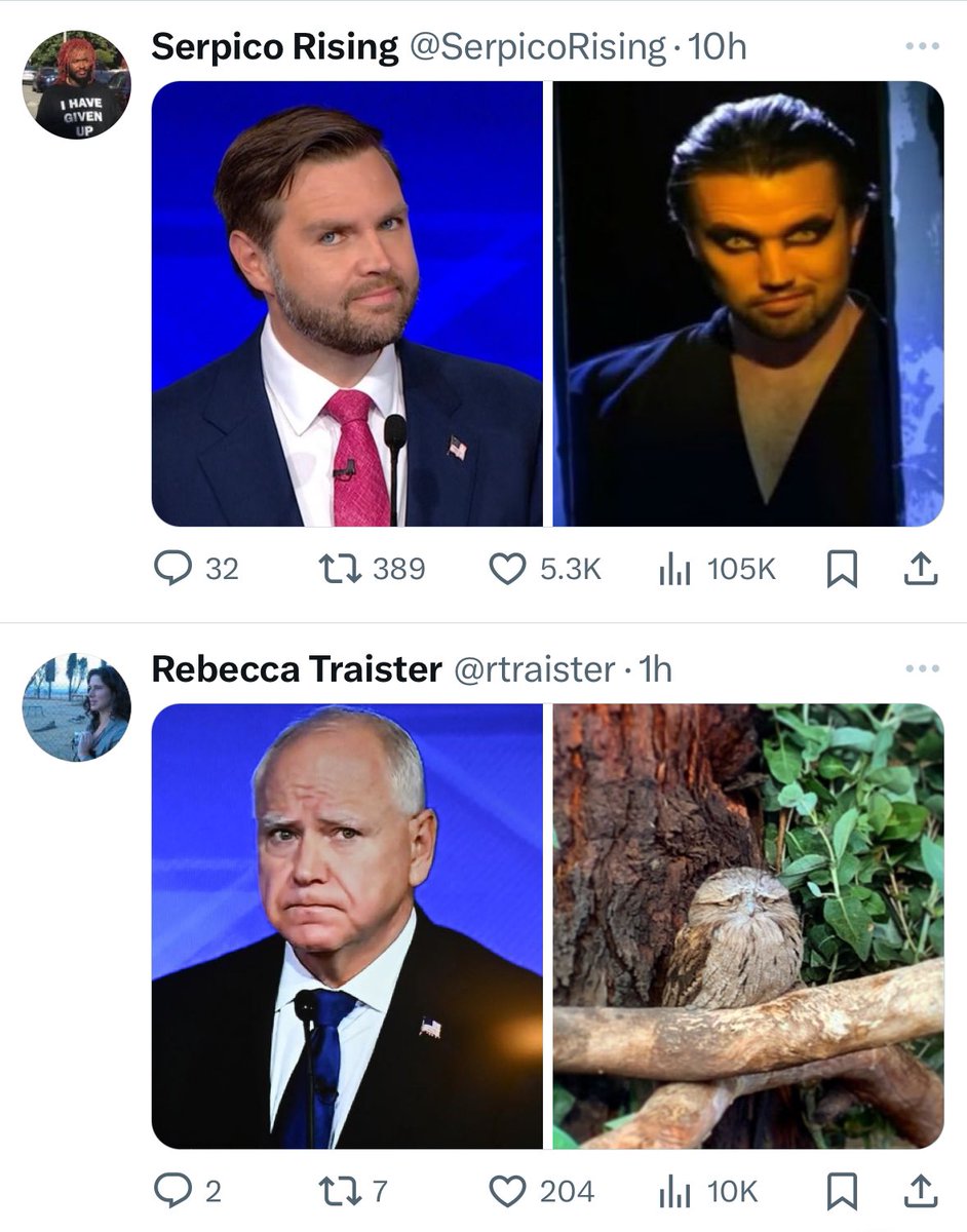 Scared to refresh my TL because it’s so perfect right now