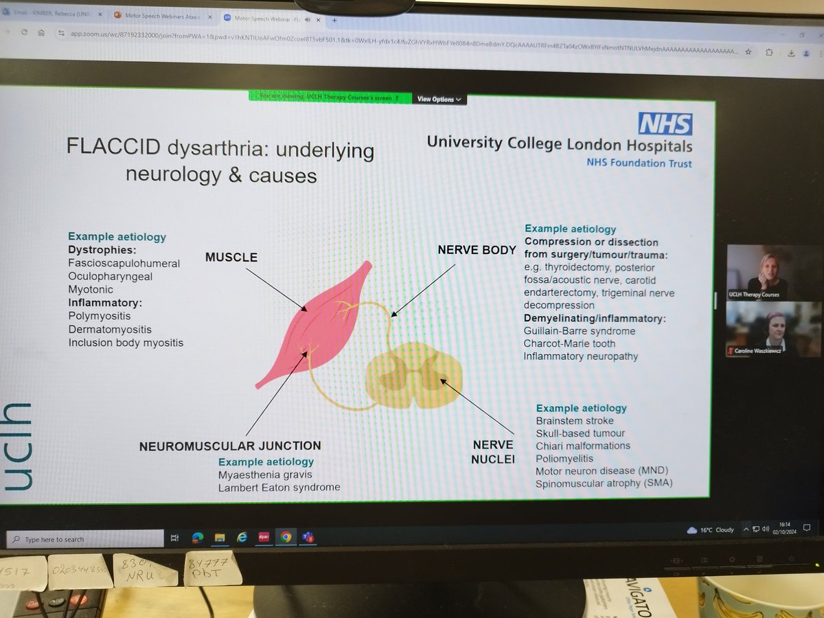 Bec Kimber tweet media