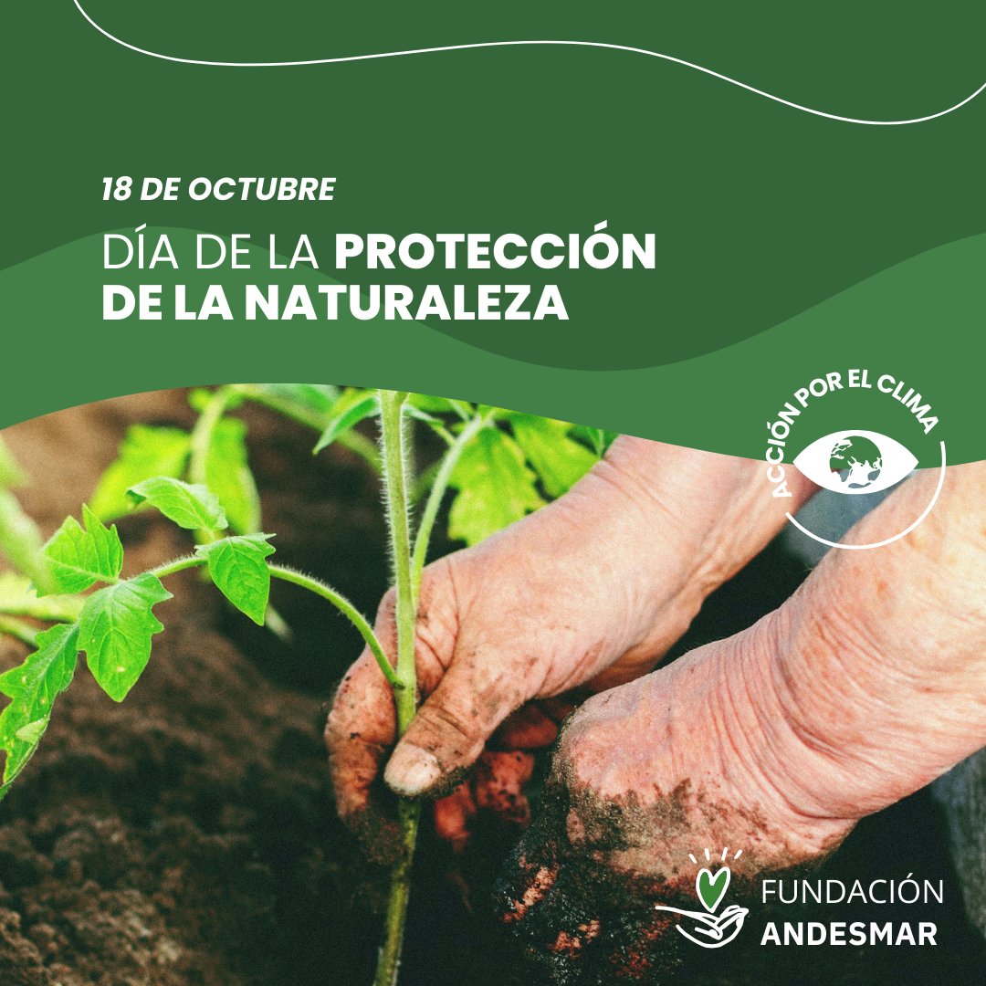 Proteger los espacios libres donde habitamos es fundamental para promover un mundo más sostenible. ¿Cómo podemos hacerlo?

• Utilizá fuentes energéticas renovables.
• Reciclá y reutilizá todo el material que puedas para crear nuevos productos.
• Utilizá bolsas ecológicas.