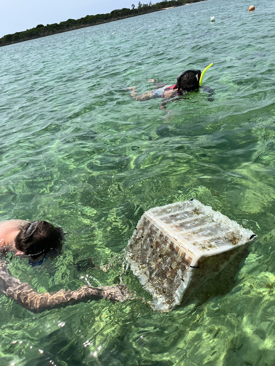 Tom Hartley tweet media