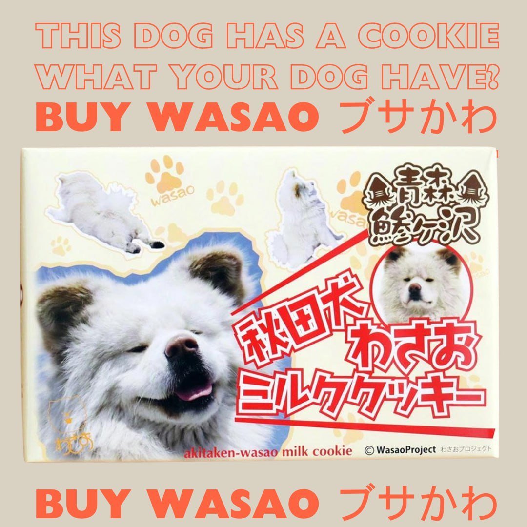 @Poe_Ether Need a $Wasao cookie, POE?