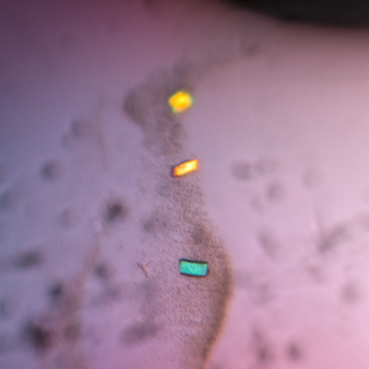 Protein crystals? Oh yes, protein crystals.