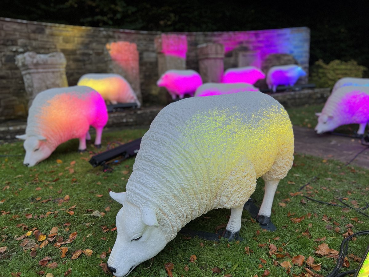 Segedunum Roman Fort (@segedunumfort) on Twitter photo Illuminated Sheep: The Urban Adventure | Segedunum Roman Fort, #Wallsend | 11 & 12 Oct | 6-9pm | FREE EVENT. View from ground level or book free tickets in the Viewing Tower via the website: segedunumromanfort.org.uk
#FindTheFlock <a href="/NTCouncilTeam/">North Tyneside Council</a> Illuminated Sheep: The Urban Adventure | Segedunum Roman Fort, #Wallsend | 11 & 12 Oct | 6-9pm | FREE EVENT. View from ground level or book free tickets in the Viewing Tower via the website: segedunumromanfort.org.uk
#FindTheFlock <a href="/NTCouncilTeam/">North Tyneside Council</a>
