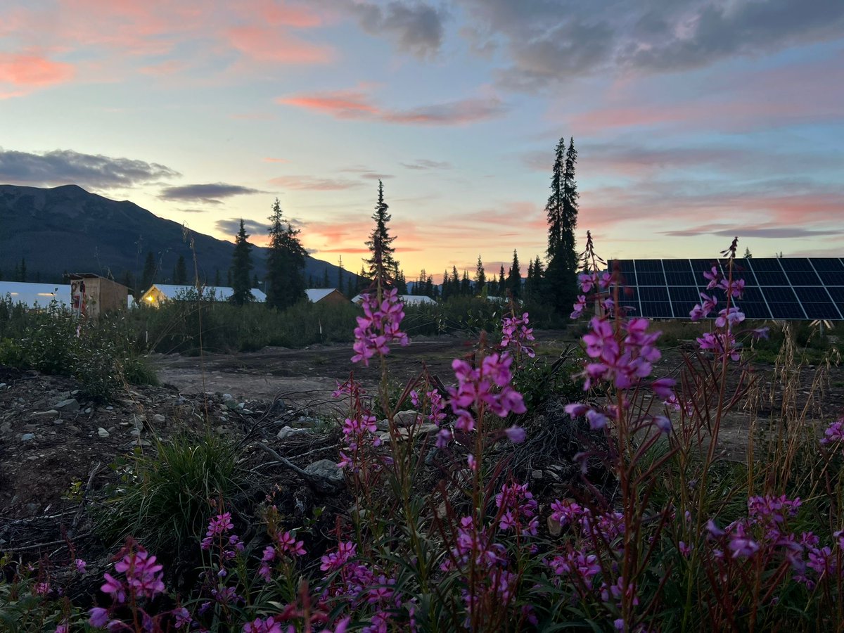 Snowline Gold tweet media