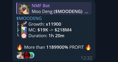 NMF SOL CALLS tweet media