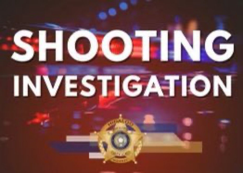 At about 9:08am Deputy initiated a traffic stop which resulted in a pursuit. Vehicle crashed west of FM88 on Mile 13N. Deputy approached the vehicle and heard what sounded like gunshots. Passenger was advised to show his hands. Deputy discharged his weapon striking him in the leg