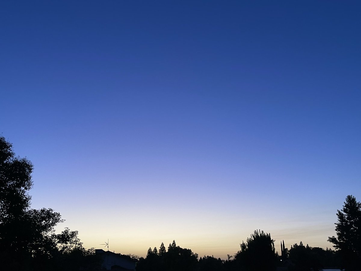 Caffeinated 💯 Caregiver🖤☕️🖤 tweet media