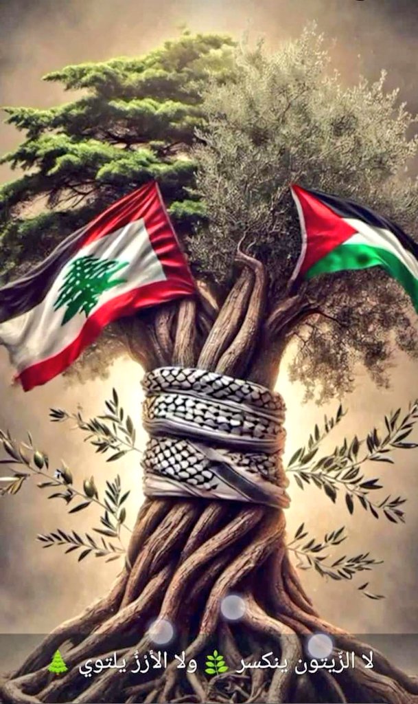 لا الزيتون ينكسر ولا الأرز يلتوي