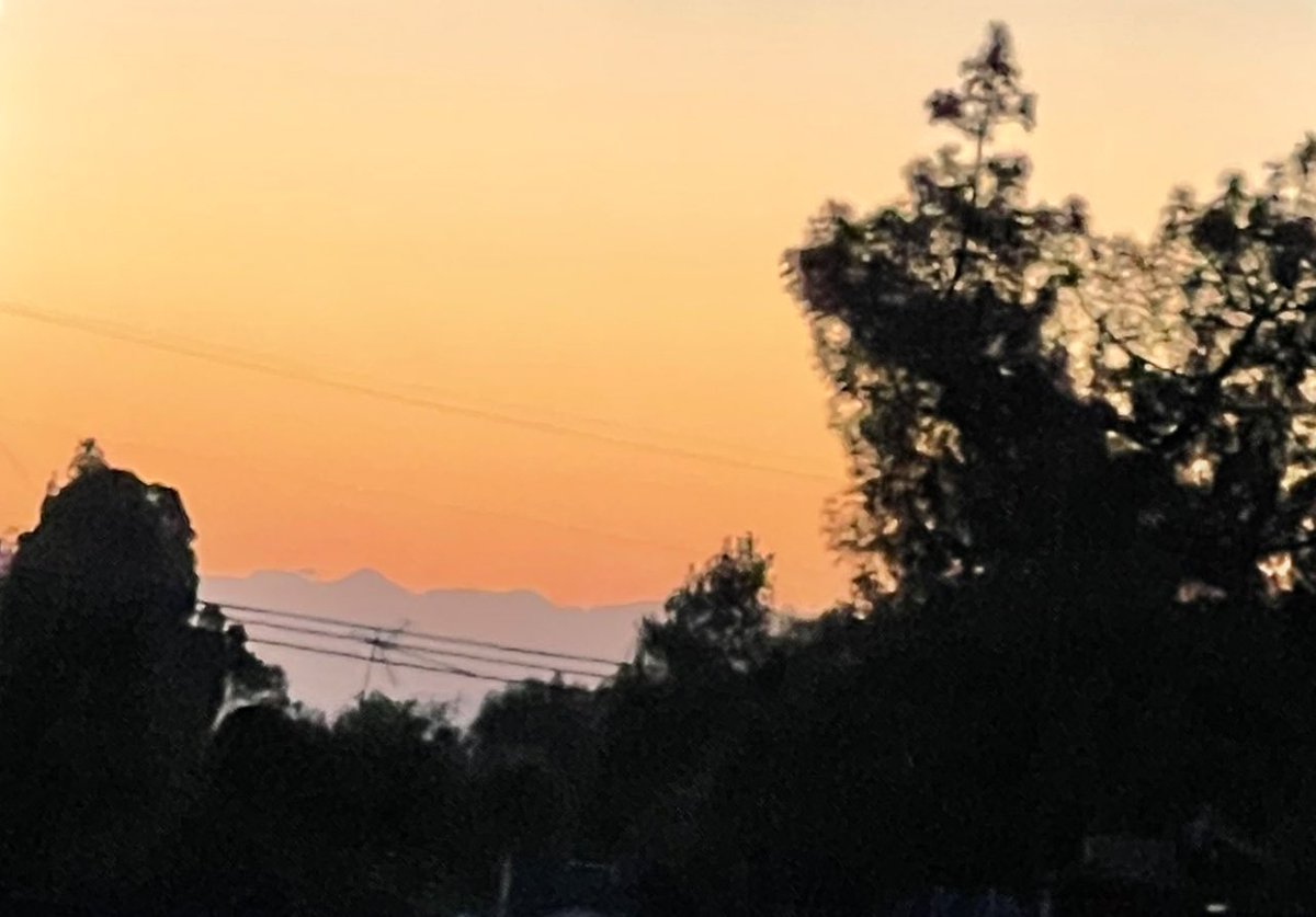 Caffeinated 💯 Caregiver🖤☕️🖤 tweet media