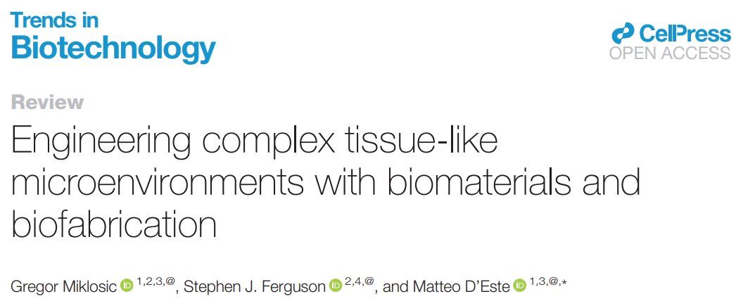 matteo.deste (@matteodeste2) on Twitter photo Curious about how biomaterials, biofabrication and anything in between is pushing the field toward engineering tissue microenvironments? Fresh off the press in its final form. <a href="/gmiklosic/">Gregor Miklosic</a> <a href="/FergusonLabETH/">Laboratory for Orthopaedic Technology - ETH Zurich</a> <a href="/TrendsinBiotech/">Trends in Biotechnology</a>
doi.org/10.1016/j.tibt… Curious about how biomaterials, biofabrication and anything in between is pushing the field toward engineering tissue microenvironments? Fresh off the press in its final form. <a href="/gmiklosic/">Gregor Miklosic</a> <a href="/FergusonLabETH/">Laboratory for Orthopaedic Technology - ETH Zurich</a> <a href="/TrendsinBiotech/">Trends in Biotechnology</a>
doi.org/10.1016/j.tibt…