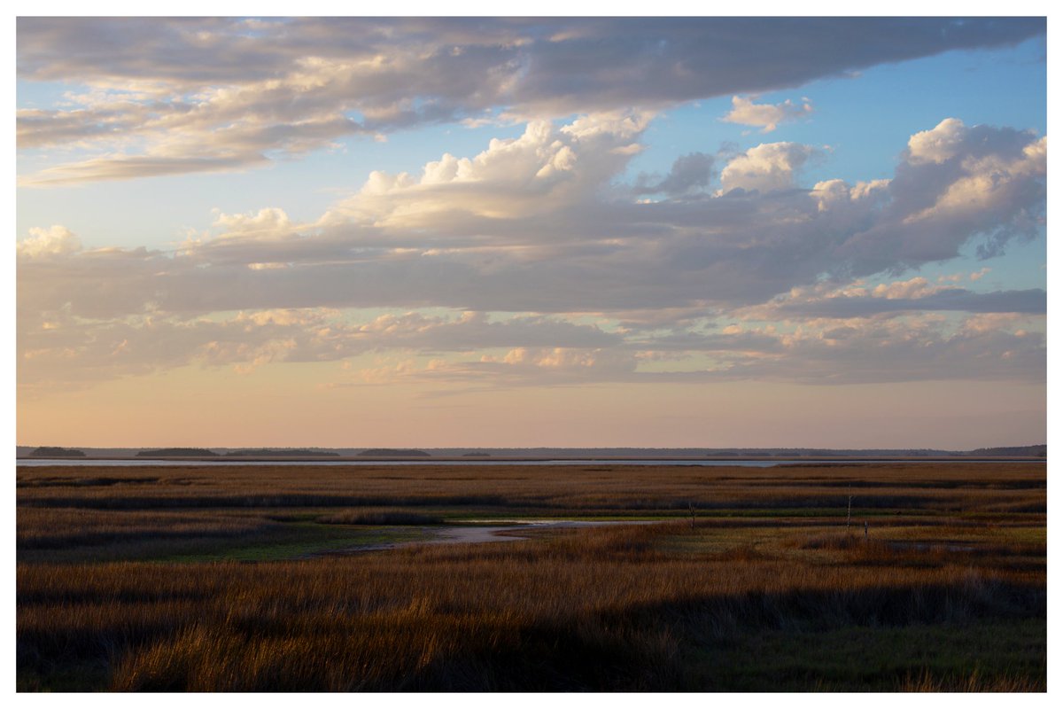 St. Marks National Wildlife Refuge views. North Florida.
