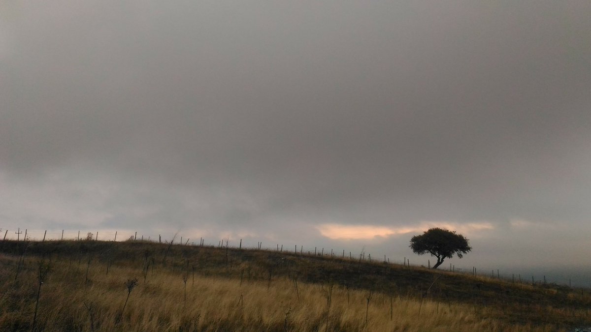 MastVlas's tweet photo. Care memorie, 02.10.2017.
#temparossa #carememorie #hse #basilicata #lucania https://t.co/l0AF8FKHCo