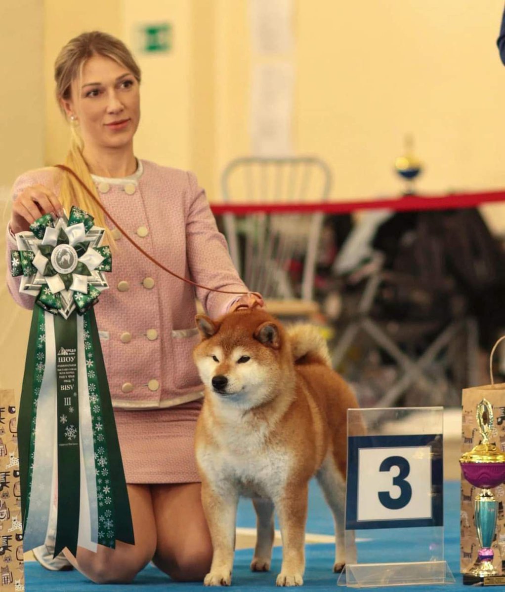 irinaoneth's tweet photo. The mom of the year is cooking.. $IRINA
The mom of Shiba Inu $SHIBA
300K in first hour. 
OG narrative. 
Based DEV. No bundle. No team tokens. 
Pure and organic community. 
Mooning... 🔥 https://t.co/aRAsH0DEMi