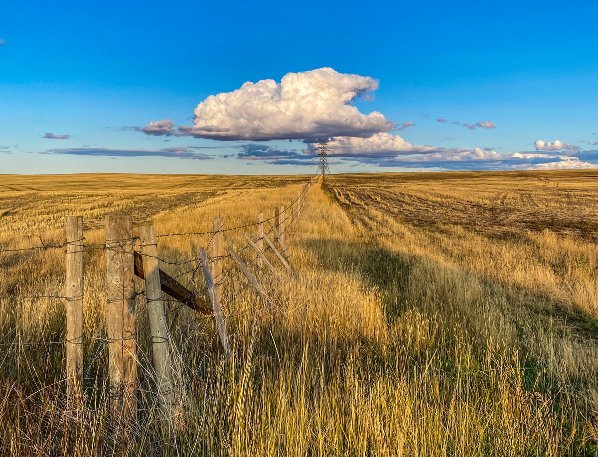 EDI_edynamics's tweet photo. Photo of the Month: Prairie Views, Medicine Hat, AB. Photo credit to Bailey Durant, EDI Calgary.
#PhotooftheMonth #PrairieViews #MedicineHat #naturephotography #EDI #edynamics https://t.co/93E1qaeSjU