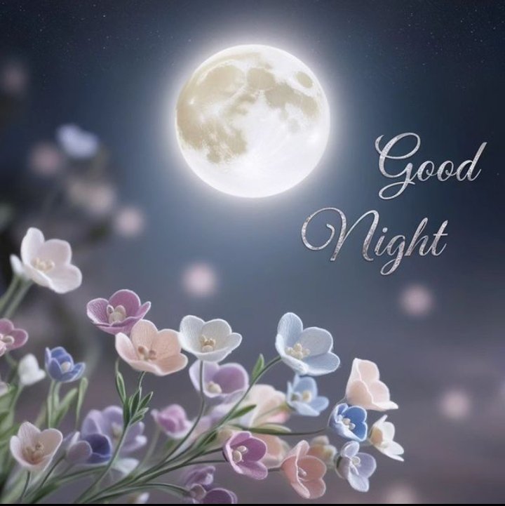 गुड नाईट फ्रेंड्स 
#GoodNightTwitterWorld 
#GoodNight 
#shubratri  💖💖