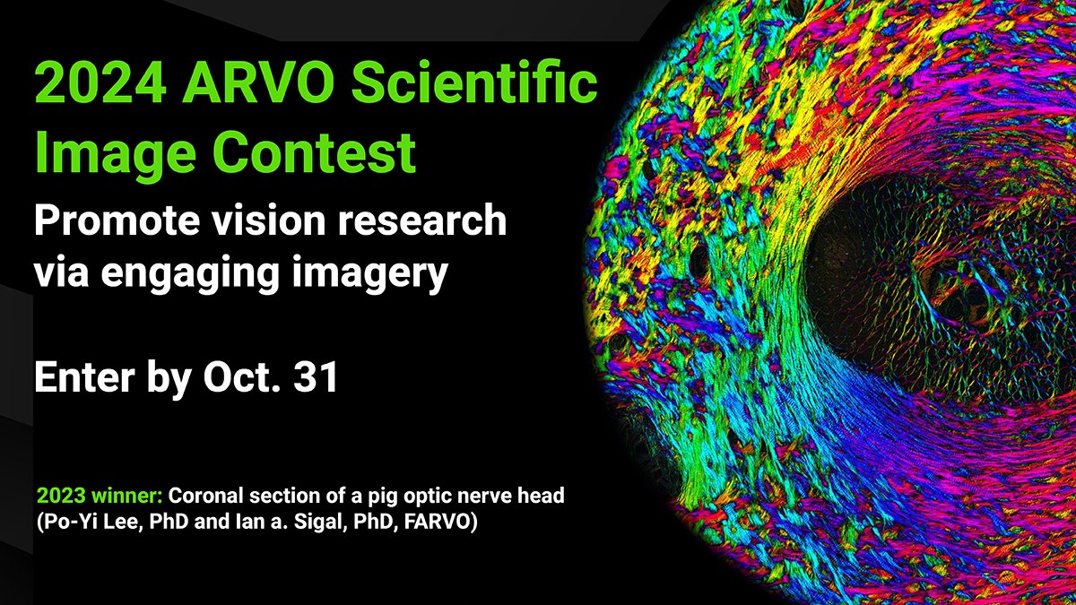 Attention <a href="/ARVOinfo/">ARVO</a> members―the 2024 ARVO Scientific Image Contest is open! Enter your best lab-produced image to illuminate and promote the unseen wonders of eye/#VisionResearch. Your art could be displayed at #ARVO2025 and win you a $300 gift card! bit.ly/3Y6AWvq
