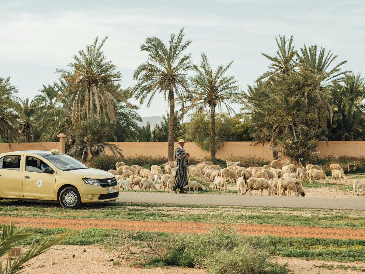 "The souks give way to trendy restaurants, plush #hotels and colourful riads, where you can indulge in hammam sessions and luxuriate by courtyard fountains". Welcome to #Marrakesh – our bookable travel guide, curated by <a href="/koss_pyr/">Konstantina Pyrnokoki</a>, is now live 👉 bit.ly/47OH1A4