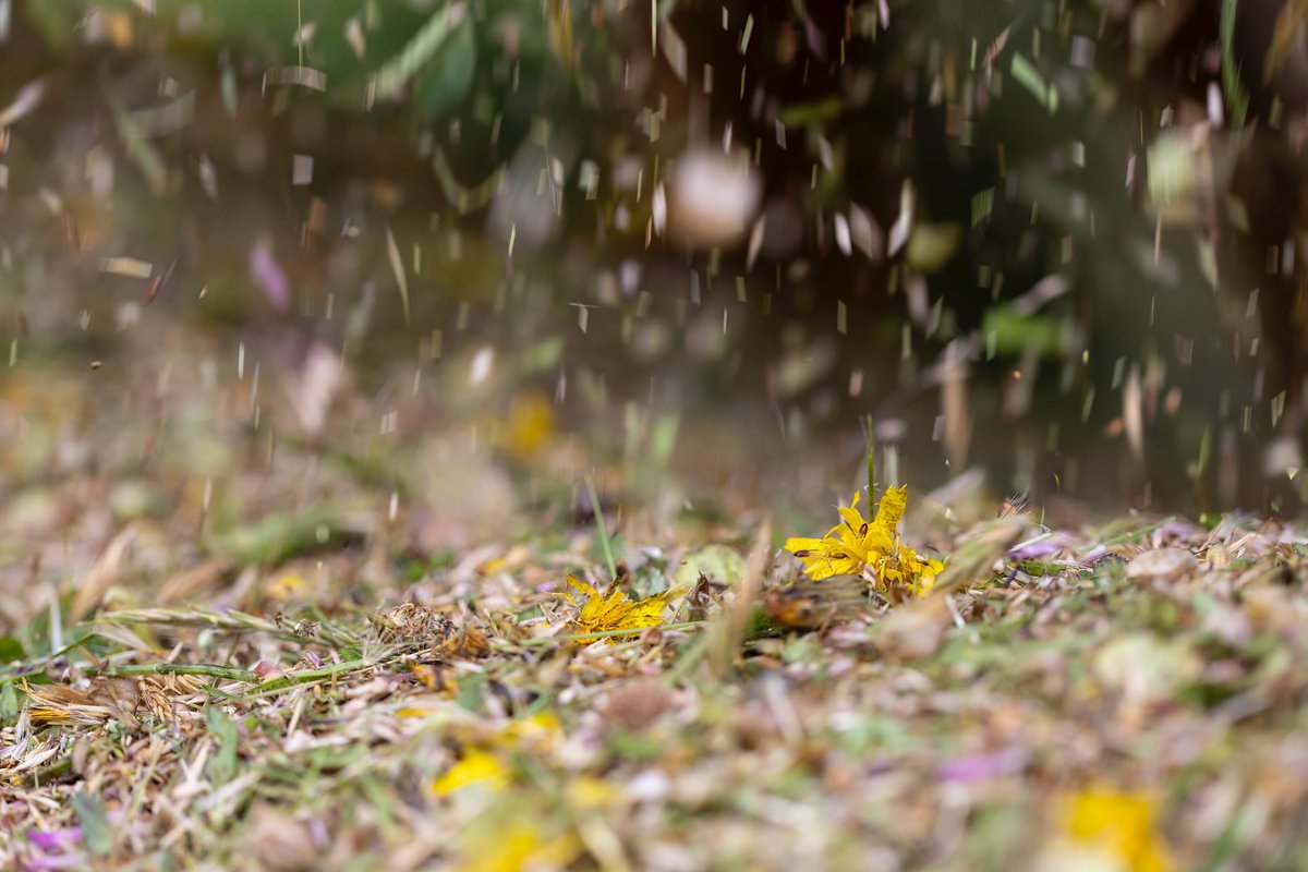 Exmoor National Park tweet media