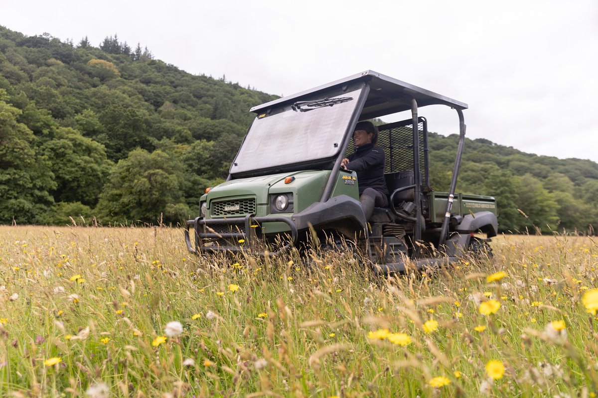 Exmoor National Park tweet media