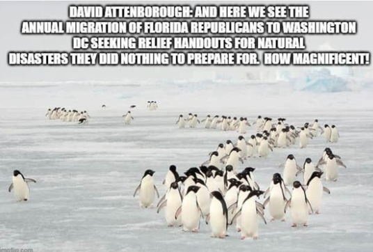 An Old Scottish Fart 🇺🇸🍁 🏴󠁧󠁢󠁳󠁣󠁴󠁿 ☘️ ☮️ (@danimacbhoy) on Twitter photo 