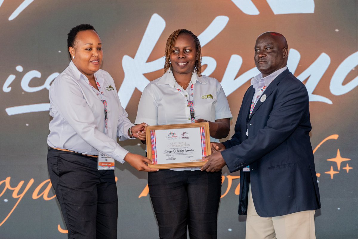 Kenya Tourism Board tweet media