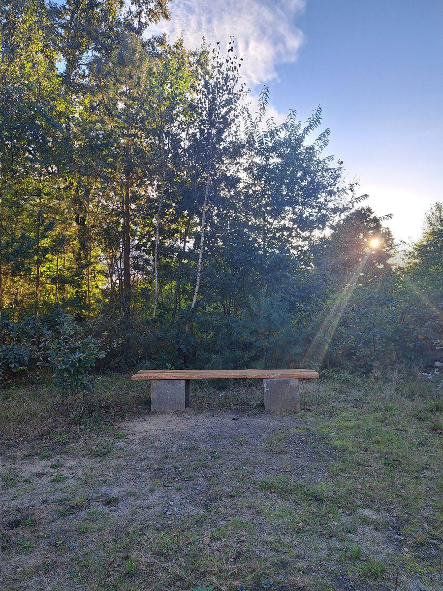 MF1985's tweet image. Mein ruhiger Platz im Moment...