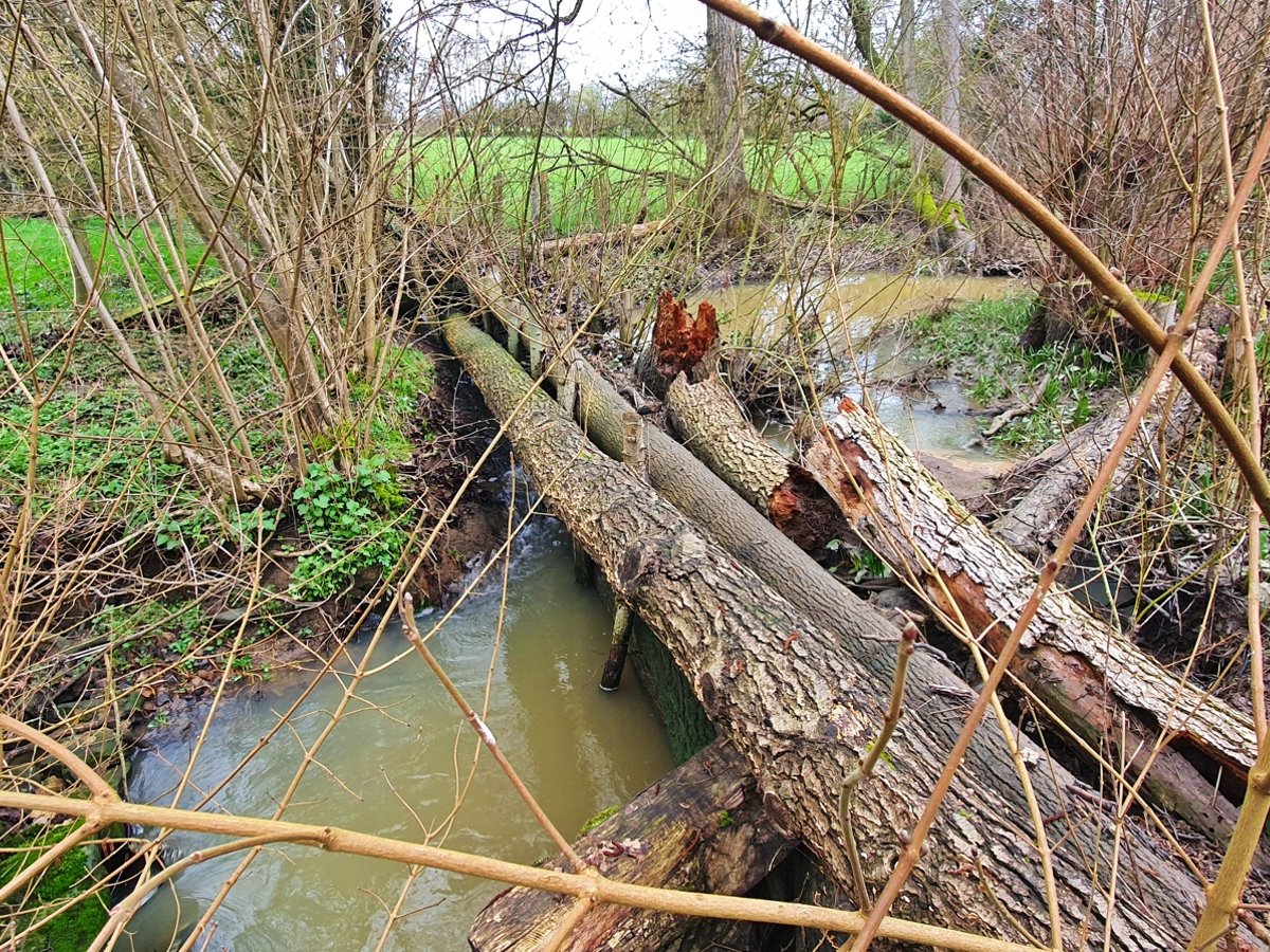 Many areas of #SouthEastEngland have received #Flood alerts. Natural Flood Management (NFM) is a great way to mitigate flooding. Leaky wood dams, an NFM measure, hold back water after rainfall before releasing it slowly downstream. 📸leaky wood dams installed by the SERT team.