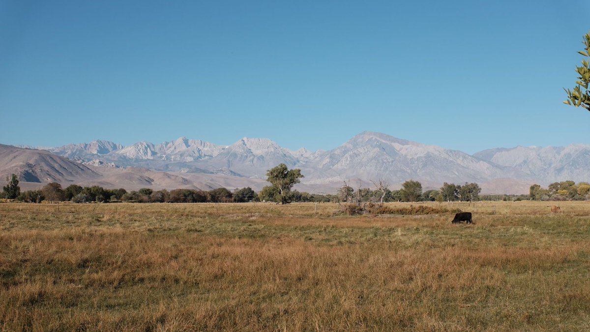 California Health Report tweet media