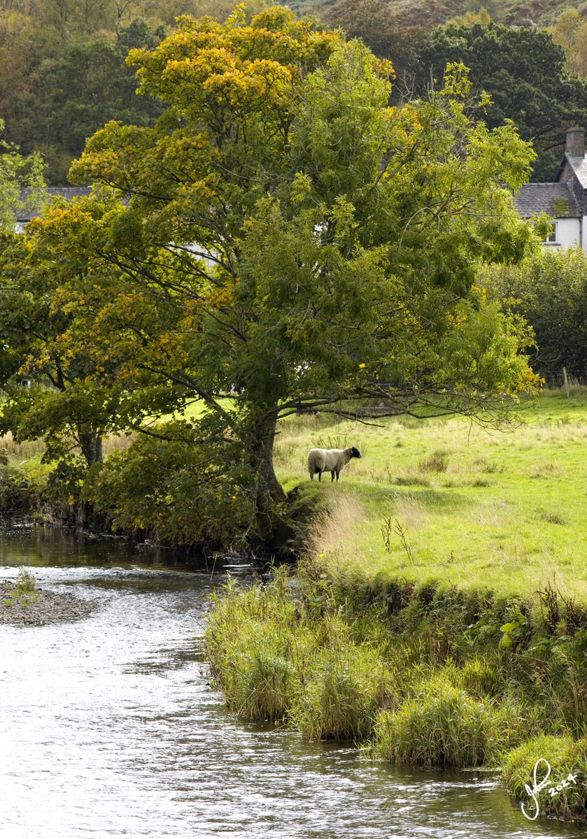 Different day different place, 4 that caught my eye📷👈👍