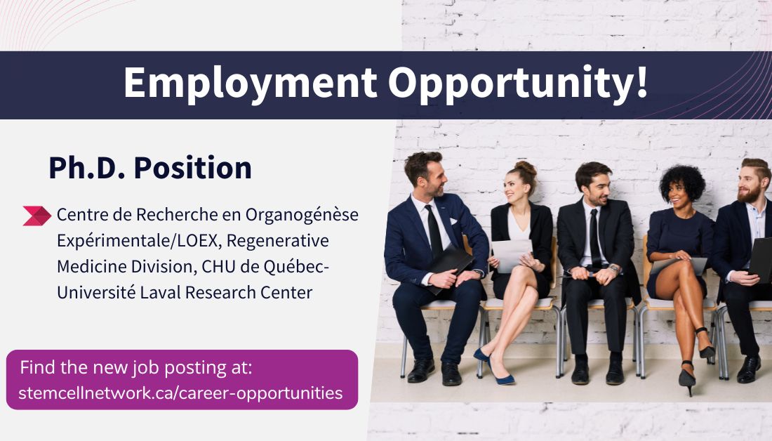 Stem Cell Network (@stemcellnetwork) on Twitter photo 🚨 Ph.D. opportunity in Dr. Bolduc’s Lab! A Ph.D. position is available to investigate the #immunomodulatory and pro-angiogenic activities of adipose-derived stem/stromal cells on electrospun scaffolds. 🧬 
Learn more and apply by October 4. ➡️ stemcellnetwork.ca/wp-content/upl… 🚨 Ph.D. opportunity in Dr. Bolduc’s Lab! A Ph.D. position is available to investigate the #immunomodulatory and pro-angiogenic activities of adipose-derived stem/stromal cells on electrospun scaffolds. 🧬 
Learn more and apply by October 4. ➡️ stemcellnetwork.ca/wp-content/upl…