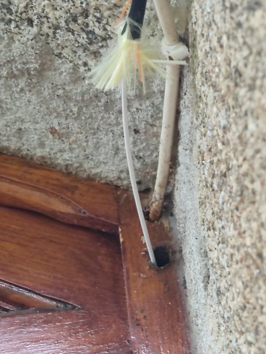 tbokh's tweet photo. Bonjour @free comment trouvez-vous la prestation de votre installateur fibre ? Câble qui pend dehors, découpe dégueulasse, porte en bois massif percée à l'arrache et abîmée à l'intérieur. C'est pas une installation, c'est un sabotage ça ! https://t.co/XIzcKDqXu1