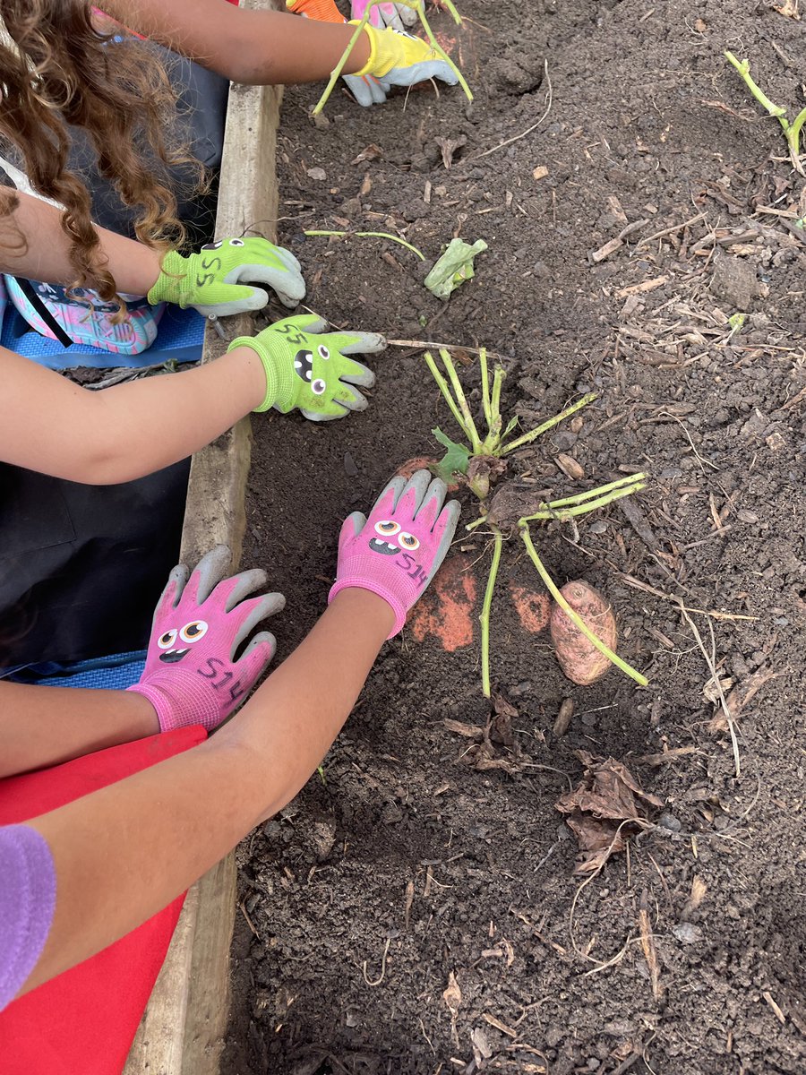 Kate Highsmith tweet media