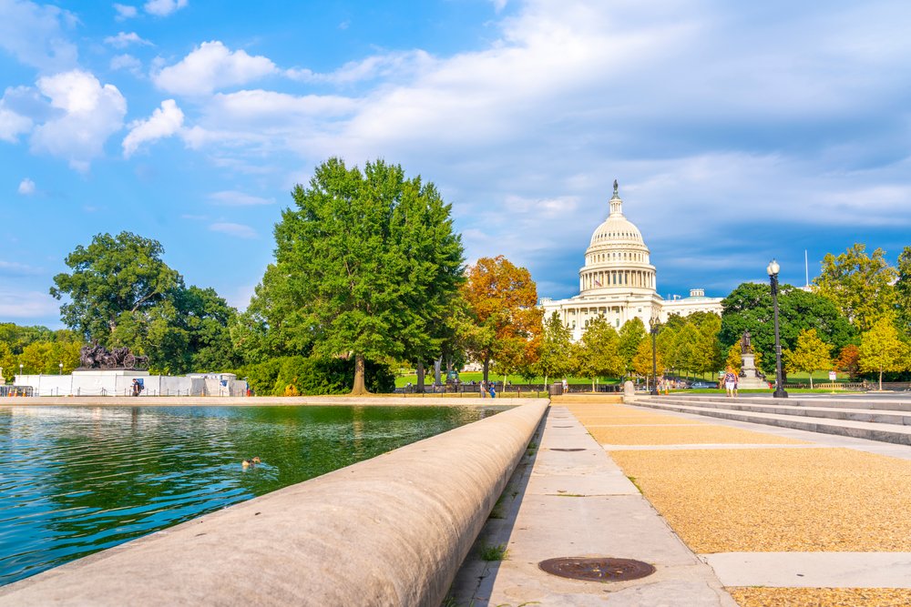 The White Oak Initiative is thrilled to report that two significant measures benefiting upland oak forests just moved forward in Washington. 🏛🌳 Read more: whiteoakinitiative.org/oak-notes/whit… #SupportWhiteOak